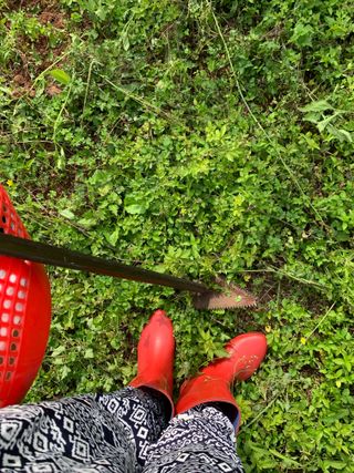 쭈야네농장님의 귤 · 영농일지 작성글 사진