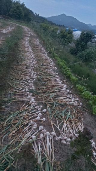 오혜영님의 자유주제 · 자유게시판 작성글 사진