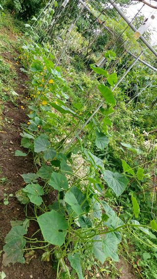 오혜영님의 자유주제 · 자유게시판 작성글 사진