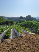 팜모닝 자유주제·자유게시판 게시글 이미지