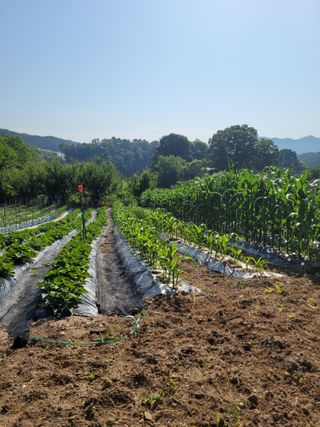 최기인님의 자유주제 · 자유게시판 작성글 사진