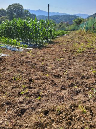 최기인님의 자유주제 · 자유게시판 작성글 사진