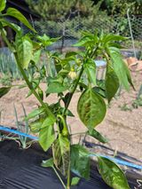 팜모닝 자유주제·자유게시판 게시글 이미지