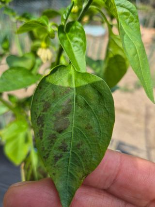 도리님의 자유주제 · 자유게시판 작성글 사진