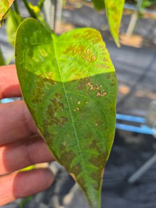 도리님의 자유주제 · 자유게시판 작성글 사진