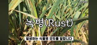 양성민님의 자유주제 · 자유게시판 작성글 사진