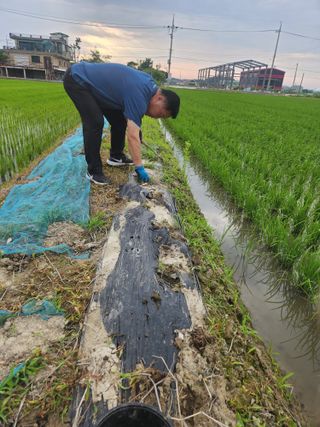 민영미님의 콩 · 영농일지 작성글 사진