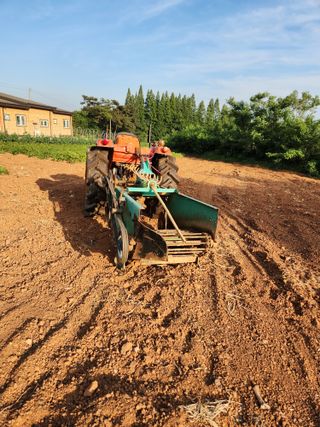안병두님의 감자 · 영농일지 작성글 사진