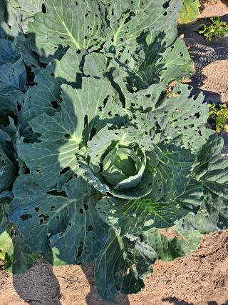 이진수님의 자유주제 · 자유게시판 작성글 사진