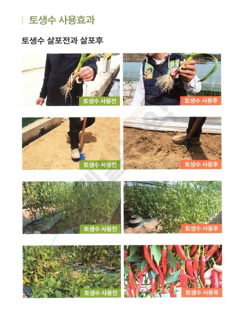 안산제일농약사님의 장터 판매 상품 [토생수250ml] 첨부 사진