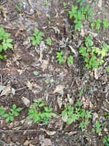 팜모닝 자유주제·자유게시판 게시글 이미지