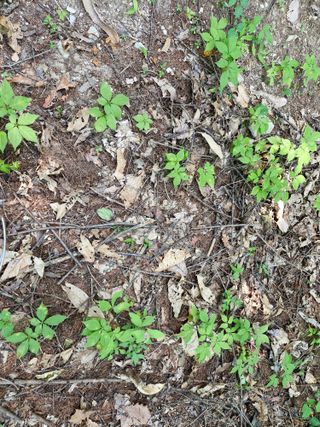 당근한개님의 자유주제 · 자유게시판 작성글 사진