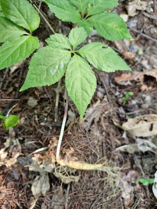 당근한개님의 자유주제 · 자유게시판 작성글 사진