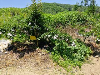 당근한개님의 자유주제 · 자유게시판 작성글 사진