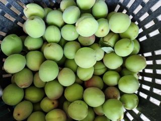 조태현님의 자유주제 · 자유게시판 작성글 사진