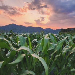 권지연.옥천.님의 자유주제 · 사진전 작성글 사진