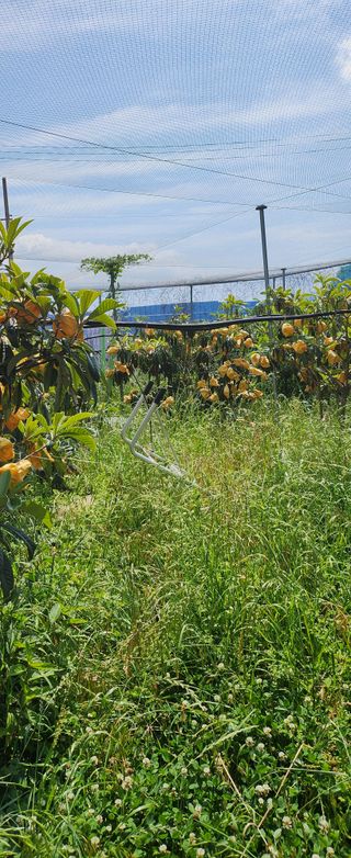 김상철님의 자유주제 · 사진전 작성글 사진