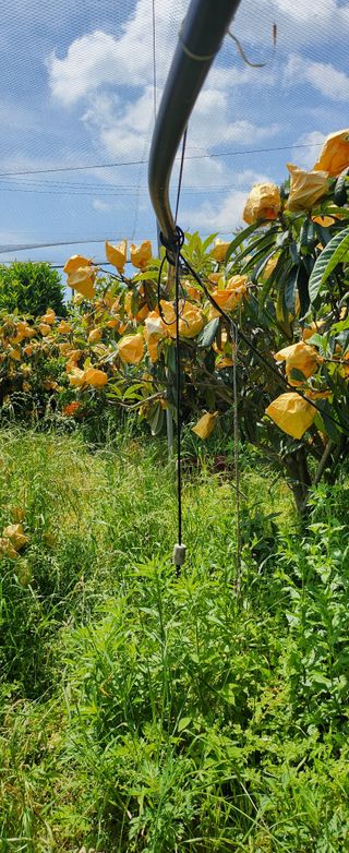 김상철님의 자유주제 · 사진전 작성글 사진