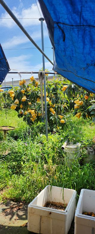 김상철님의 자유주제 · 사진전 작성글 사진