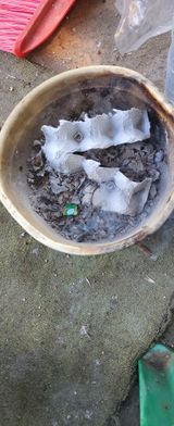 팜모닝 자유주제·자유게시판 게시글 이미지