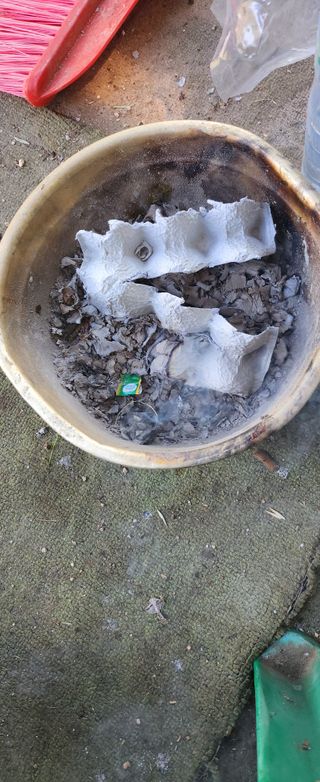 김상철님의 자유주제 · 자유게시판 작성글 사진