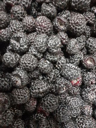 아로대추님의 작성글 사진