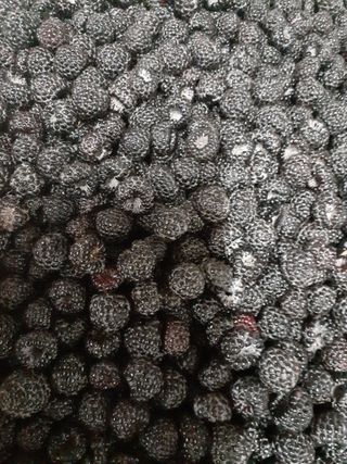 아로대추님의 작성글 사진