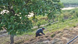 신농곶감 정혜숙님의 🎤어떤 노래 좋아하세요? · 참여글 작성글 사진