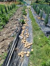 팜모닝 자유주제·자유게시판 게시글 이미지