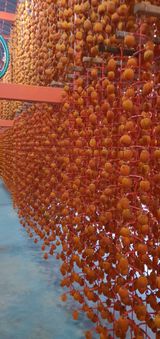 팜모닝 다시만나 반가워요👋🏻·참여글 게시글 이미지