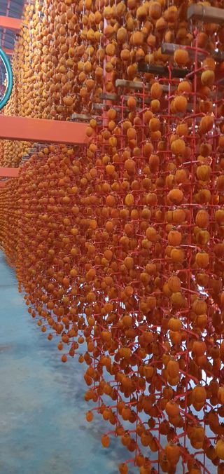 미래곶감님의 다시만나 반가워요👋🏻 · 참여글 작성글 사진