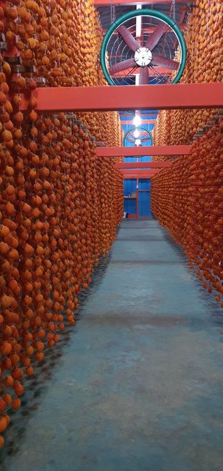 미래곶감님의 다시만나 반가워요👋🏻 · 참여글 작성글 사진