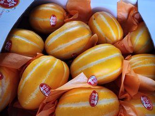 김영희님의 자유주제 · 칭찬해요 작성글 사진