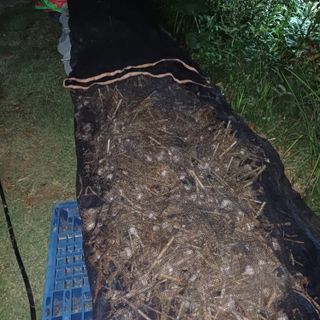 삼성농산님의 자유주제 · 자유게시판 작성글 사진