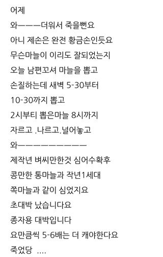 삼성농산님의 자유주제 · 자유게시판 작성글 사진