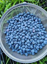 팜모닝 다시만나 반가워요👋🏻·참여글 게시글 이미지