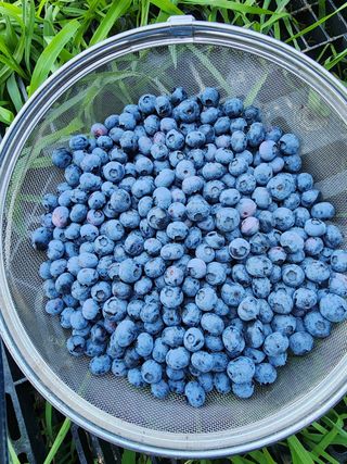 대파11209님의 다시만나 반가워요👋🏻 · 참여글 작성글 사진