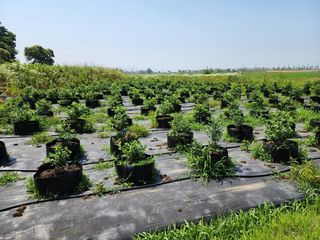 대파11209님의 다시만나 반가워요👋🏻 · 참여글 작성글 사진