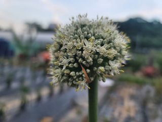 가짜 농부님의 자유주제 · 자유게시판 작성글 사진