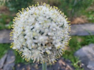 가짜 농부님의 자유주제 · 자유게시판 작성글 사진