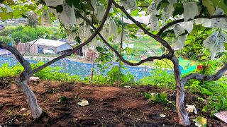 황규엽님의 자유주제 · 자유게시판 작성글 사진