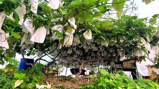 황규엽님의 자유주제 · 자유게시판 작성글 사진