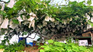 황규엽님의 자유주제 · 자유게시판 작성글 사진