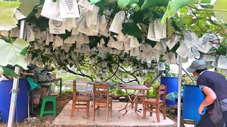 황규엽님의 자유주제 · 자유게시판 작성글 사진