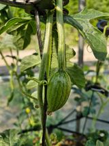 팜모닝 자유주제·자유게시판 게시글 이미지