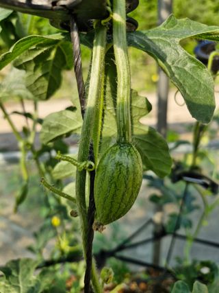 당근한개님의 자유주제 · 자유게시판 작성글 사진