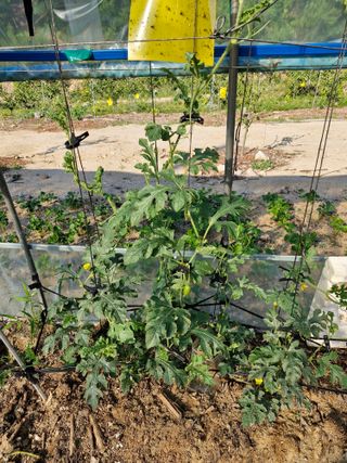 당근한개님의 자유주제 · 자유게시판 작성글 사진