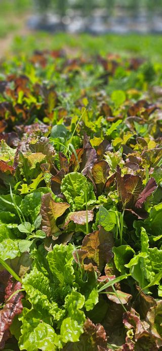우용태 님의 자유주제 · 사진전 작성글 사진