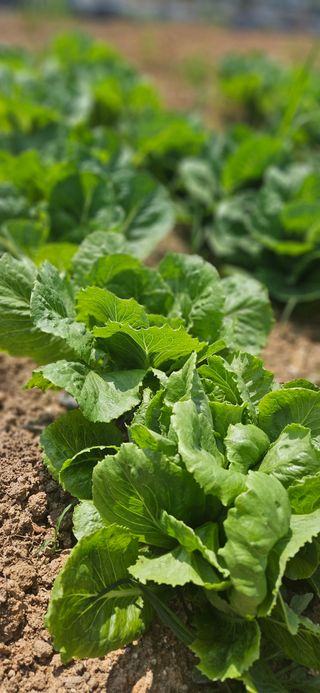 우용태 님의 자유주제 · 사진전 작성글 사진