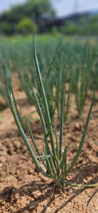 우용태 님의 자유주제 · 사진전 작성글 사진